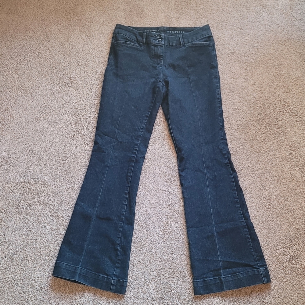 (2) Fit & Flare The Limited Denim Pants